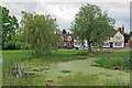 Pond near Eve's Corner, Danbury in CM3 4PP