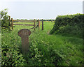 Boundary Marker in Turks Lane in RG7 3UD