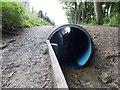 Ringstead: the stream in The Glen enters a tube in DT3 6HJ