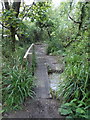 Ringstead: footbridge on the Osmington Mills path in DT3 6HJ