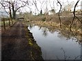 Thames and Severn Canal at Chalford in GL6 8AS