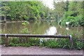 Pond in Holly Hill Woodland Park in SO31 7AH