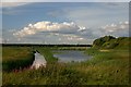 Astmoor Saltmarsh in Halton Castle Ward
