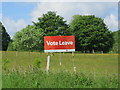 Vote Leave sign, Sedlescombe Street in TN33 0PB