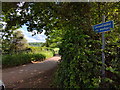 Lane to East Butterleigh in EX15 1LX