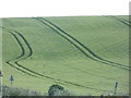 Owermogne: tractor tracks in a green field in DT2 8EA