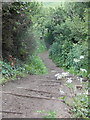 Osmington Mills: steps on the descent from Bran Point in DT3 6HQ