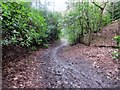 Muddy bridleway in GU28 0PU