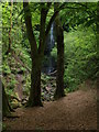 Approaching  Craigie Linn waterfall in PA2 8QQ