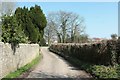 Church Lane, Chilton Polden in Somerset