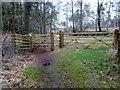 New kissing gate on The Serpent Trail in GU28 0NZ
