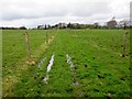 Boggy Bridleway, Selham Common in GU28 0PR