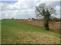 Farmland towards Wild's Farm in NR28 0NF