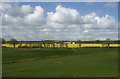 Fields near Gunton Station in NR11 8UT