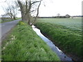 Drain beside Water Lane in NR12 0TW