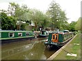 A collection of green narrowboats in SK10 5DU