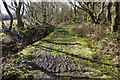 Slightly muddy path near Loughor in SA4 6AB