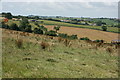 2007 : Farmland near Wellow in BA2 8PN