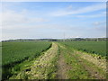 Farm track off Ferry Road West in DN15 8UX