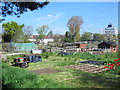 Enfield Playing Fields CA Allotments in EN1 3PE