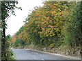 Cone Lane ,Silkstone Common in S75 4QX