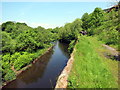 Ar lan Afon Taf / Above the Taff River in CF48 4RR