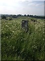 Wootton Hill Farm Trig Point in B95 6BL