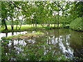 Pond near Lilypond Farm in KT16 0DY