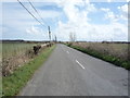 Minor road towards West Somerton in NR29 4EE