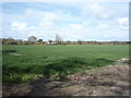 Farmland off Winterton Road in NR29 4DY