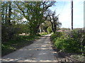 Minor road towards Manor Farm in NR29 4DY