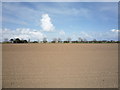 Flat field near Winterton-on-Sea in NR29 4LP