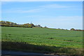 Arable land by the B560 in MK43 8RA