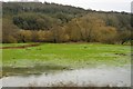 Flooding, River Culm, January 2016 in EX5 4HE