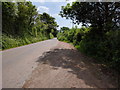 Layby on the lane into Butterleigh in EX15 1PW
