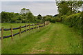 Field edge path north of Martin in SP6 3LQ