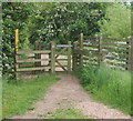 Cossington Meadows Nature Reserve, Sileby, Leics. in LE12 7RS