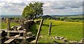 Stile on Gritstone Trail in SK10 5TQ
