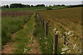 Viking Way between Audleby and Clixby in LN7 6RT