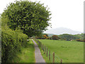 Footpath to Pentre Ifan in SA41 3XF