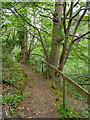 Footpath, Branksome Dene in BH4 8HQ