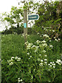 Footpath sign near St.Andrew's Church in Darmsden