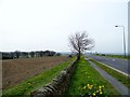 Looking north up the A68 near Rowley in DH8 9QJ