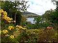 Gardens at Lochalsh House in IV40 8DN