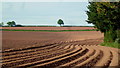 Potato field west of Hereford in HR4 7PB