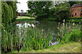 Village Pond, Apperley in GL19 4DG