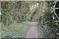 Footpath, Ashcombe Hollow in BN7 3JH
