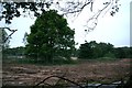 Tree protection in a development field just NW of the Humber Bridge in HU13 0JA
