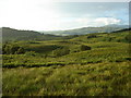 Rough grazing south of Culnadalloch in PA37 1PR