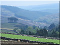 View down the valley of Beldon Burn from west of Riddlehamhope in NE47 0JH